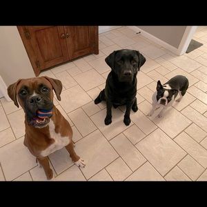 Meet your Posher, Larisa